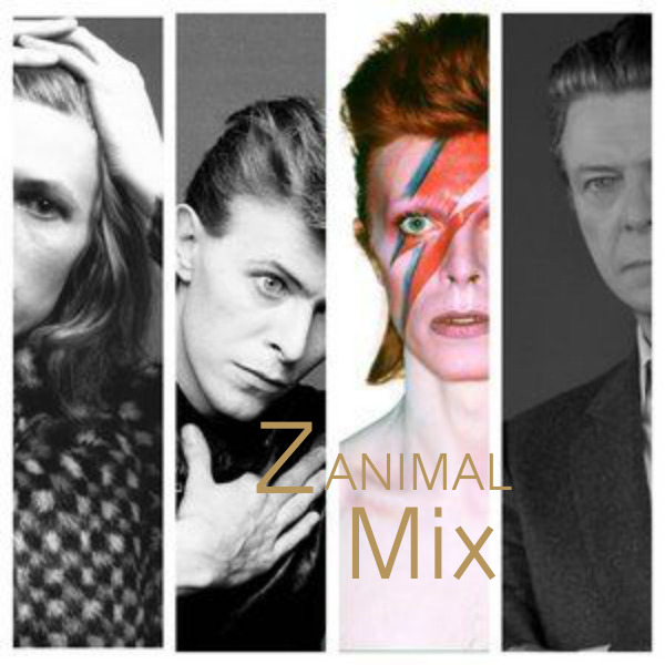 zanimal_bowie_final
